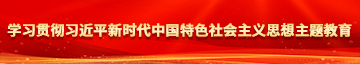 色淫操骚逼学习贯彻习近平新时代中国特色社会主义思想主题教育